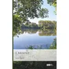 Image de L'Absent