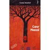 Image de Coeur Maasaï