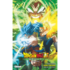 Image de Dragon Ball Super - Broly