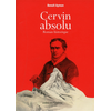 Image de Cervin absolu : roman historique