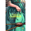 Image de L'anneau de Claddagh. Vol. 2. Stoirm