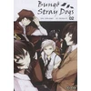 Image de Bungo Stray Dogs - Tome 02