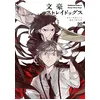 Image de Bungo Stray Dogs - Tome 20