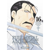 Image de Fullmetal Alchemist Perfect - tome 16