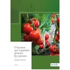 Image de L'homme qui regardait pousser les tomates