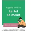 Image de Réussir son Bac de français 2023 : Analyse de la pièce Le Roi se meurt de Eugène Ionesco
