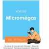 Image de Réussir son Bac de français 2024 : Analyse de Micromégas de Voltaire