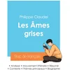 Image de Réussir son Bac de français 2024 : Analyse des Âmes grises de Philippe Claudel