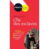 Image de Profil - Marivaux, L'Île des esclaves: toutes les clés d'analyse pour le bac