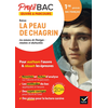 Image de Profil - Balzac, La Peau de chagrin (oeuvre au programme Bac de français 2026) - analyse de l'oeuvre et du parcours au programme (1re générale)