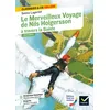 Image de Le Merveilleux Voyage de Nils Holgersson à travers la Suède: suivi d'un groupement thématique : « Héroïnes et héros miniatures »