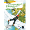 Image de Le Merveilleux Voyage de Nils Holgersson à travers la Suède - suivi d'un groupement thématique : « Héroïnes et héros miniatures »