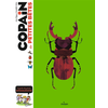Image de Copain des petites bêtes : le guide des jeunes entomologistes