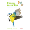 Image de Oiseaux des jardins : chercher, observer, reconnaître, identifier