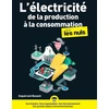 Image de L'électricité, de la production à la consommation, pour les nuls