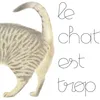 Image de Le chat est trop