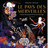 Image de Le pays des merveilles : carnet fantastique & livre de coloriage