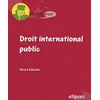 Image de Droit international public