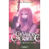 Image de Les Chevaliers d'Emeraude, Tome 4 : la princesse rebelle