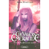 Image de Les chevaliers d'Emeraude. Vol. 4. La princesse rebelle