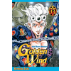 Image de Golden wind : Jojo's bizarre adventure. Vol. 13