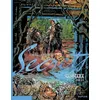 Image de Secrets, Samsara - Tome 2