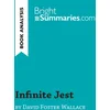Image de Infinite Jest by David Foster Wallace (Book Analysis): Detailed Summary, Analysis and Reading Guide