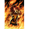 Image de X-Men : le chant du phénix