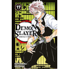 Image de Demon slayer : Kimetsu no yaiba. Vol. 17