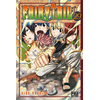 Image de Fairy Tail. Vol. 29