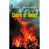 Image de Colère et temps : essai politico-théologique