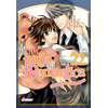 Image de Junjo Romantica. Vol. 22