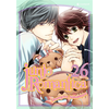 Image de Junjo Romantica. Vol. 26
