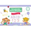 Image de Mes grandes fiches d’entraînement effaçables - Écriture - Maternelle: Lettres et chiffres : s'entraîner, effacer, recommencer !