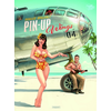 Image de Pin-up wings. Vol. 4