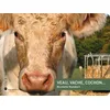 Image de Veau, vache, cochon...