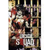 Image de Suicide Squad intégrale tome 2