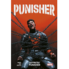 Image de Punisher. Vol. 3. La fin du punisher