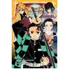 Image de Demon slayer : Kimetsu no yaiba. Vol. 2. Les liens fraternels et les pourfendeurs de démons
