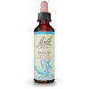 Image de Fleurs de Bach® Original Beech