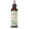 Image de Fleurs de Bach® Original Holly