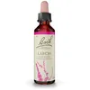 Image de Fleurs de Bach® Original Larch