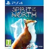 Image de Spirit Of The North Occasion PS4 en occasion ou reconditionné