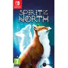 Image de Spirit Of The North Occasion SWITCH en occasion ou reconditionné