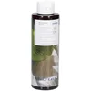 Image de Korres Ginger Lime Gel Douche