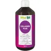 Image de VitaSil® Silicium Organique Collagen Plus