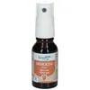 Image de HerbalGem Memogem - Spray