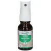 Image de Herbalgem - Cassis Bio - Complément Alimentaire - Extrait De Bourgeon Frais - Pour Articulations, 15 ml