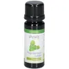 Image de Physalis Huile essentielle de Patchouli bio