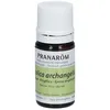 Image de Pranarom Huile essentielle d’angélique pour stress, digestion et équilibre